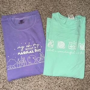 Comfort colors Unisex 2XL Themed Tshirts - great for Disney!